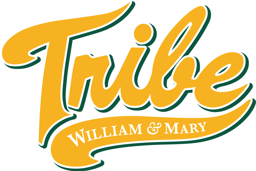 William and Mary Tribe 2016-2017 Alternate Logo v2 t shirts iron on transfers